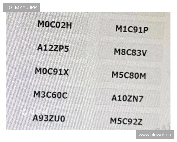 10月29日起，杭州市启用“浙M”号牌